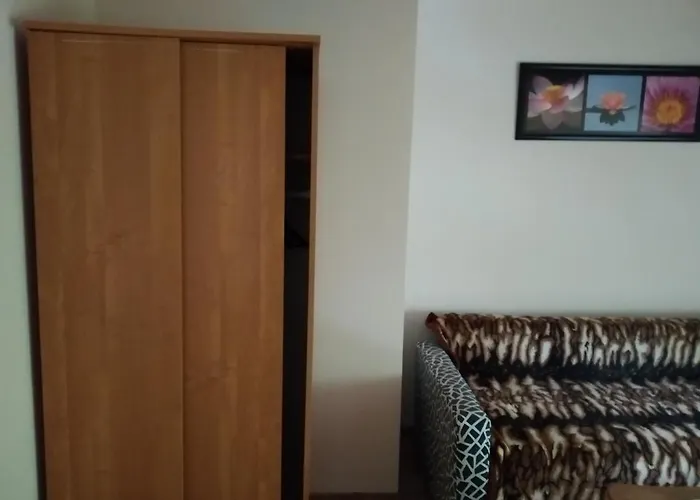 U Danki سفينويتشي